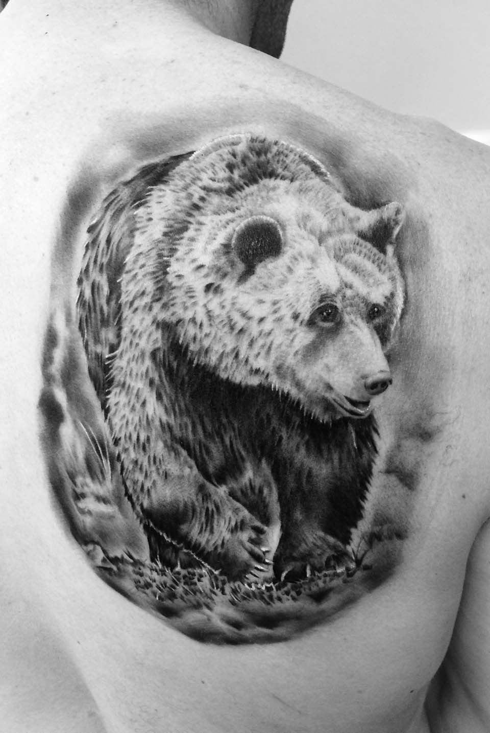 Realistischer Bär am Schulterblatt in Black & Grey