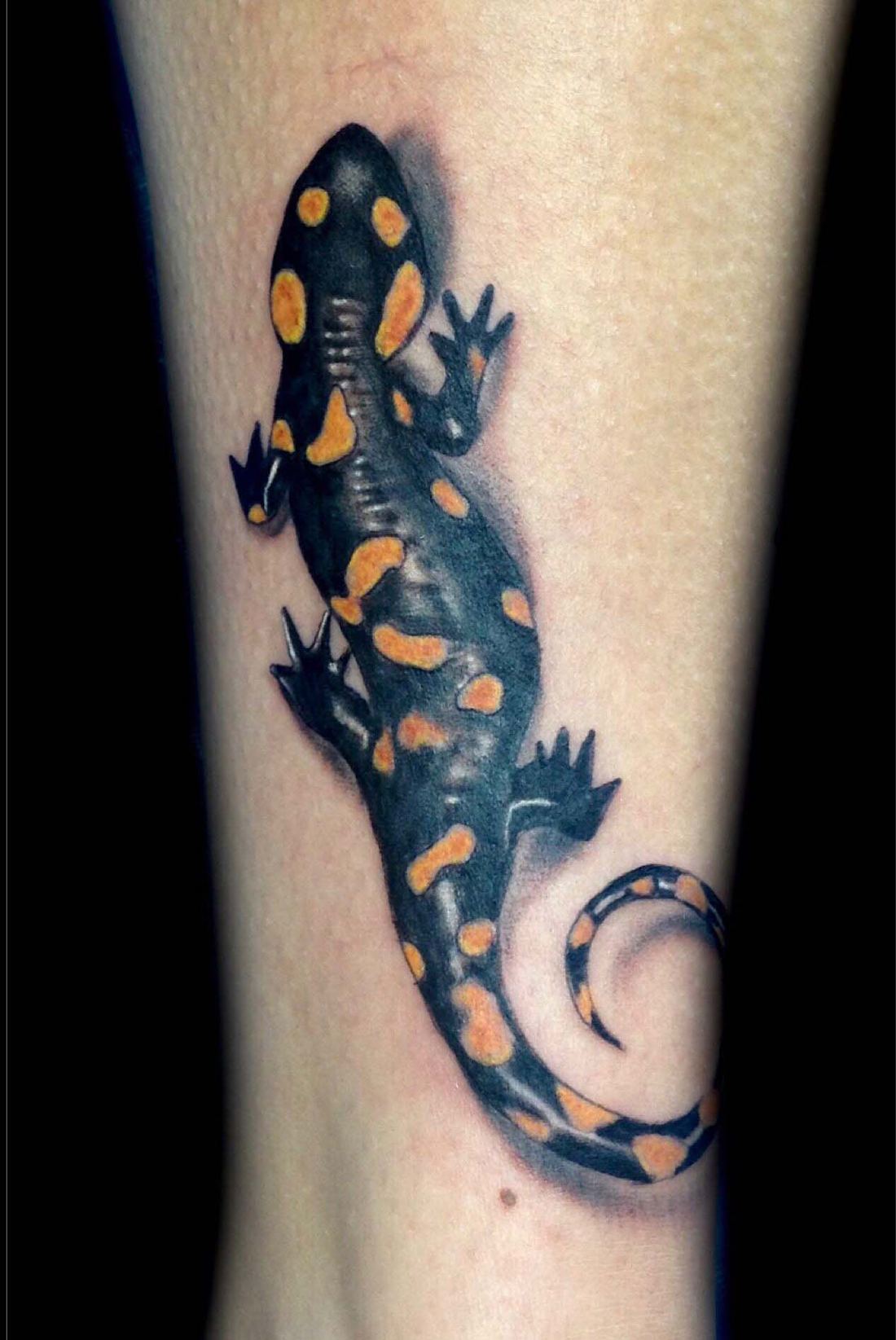 Gefleckte Eidechse in Blau und Gelb am Arm